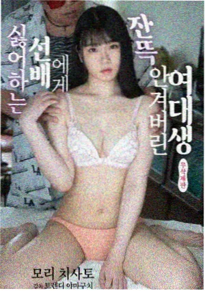 长夏未歇剧集封面